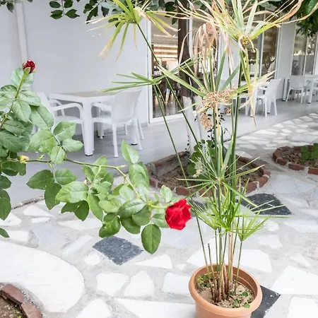 Hotel Spring Sidé