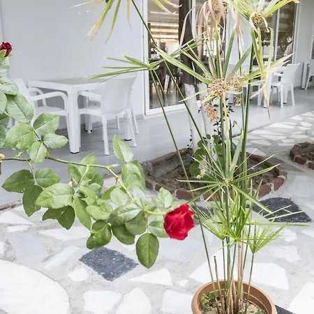 Spring 호텔 시데